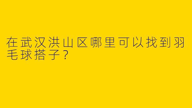 在武汉洪山区哪里可以找到羽毛球搭子？