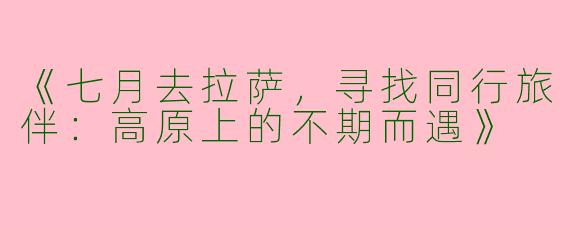 《七月去拉萨，寻找同行旅伴：高原上的不期而遇》