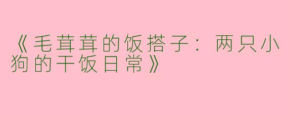 《毛茸茸的饭搭子：两只小狗的干饭日常》