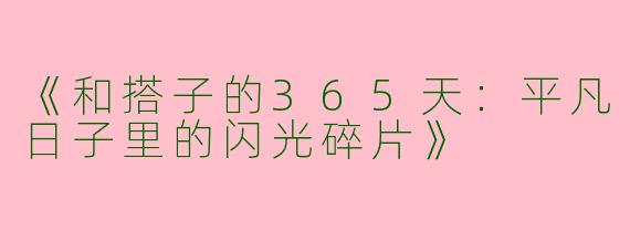 《和搭子的365天：平凡日子里的闪光碎片》