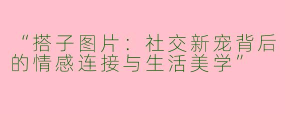 “搭子图片：社交新宠背后的情感连接与生活美学”