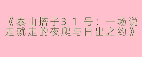 《泰山搭子31号：一场说走就走的夜爬与日出之约》