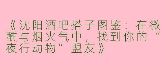 《沈阳酒吧搭子图鉴：在微醺与烟火气中，找到你的“夜行动物”盟友》