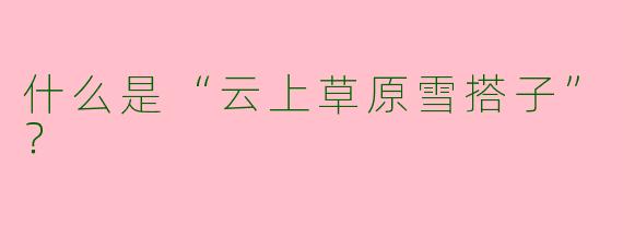 什么是“云上草原雪搭子”？