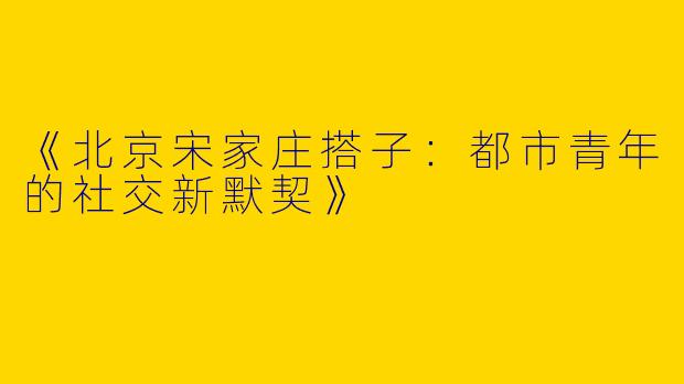 《北京宋家庄搭子：都市青年的社交新默契》