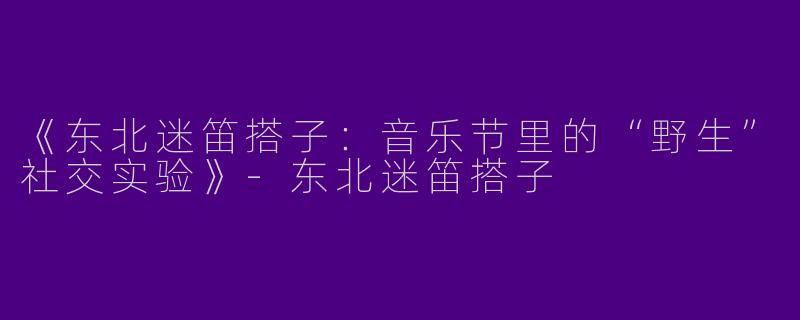 《东北迷笛搭子：音乐节里的“野生”社交实验》-东北迷笛搭子