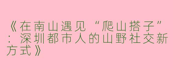 《在南山遇见“爬山搭子”：深圳都市人的山野社交新方式》