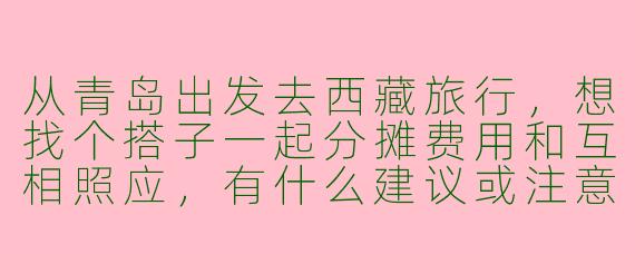 从青岛出发去西藏旅行，想找个搭子一起分摊费用和互相照应，有什么建议或注意事项吗？