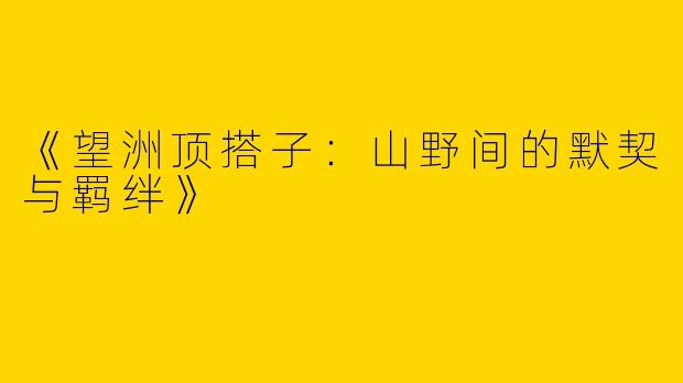 《望洲顶搭子：山野间的默契与羁绊》