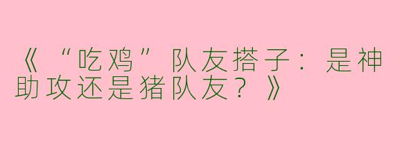 《“吃鸡”队友搭子：是神助攻还是猪队友？》