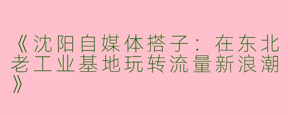 《沈阳自媒体搭子：在东北老工业基地玩转流量新浪潮》