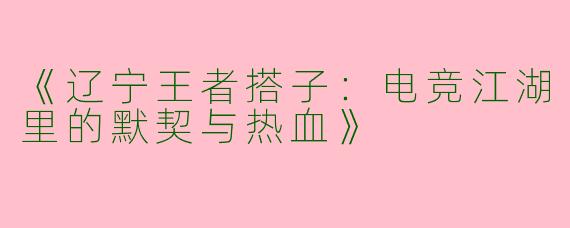 《辽宁王者搭子：电竞江湖里的默契与热血》