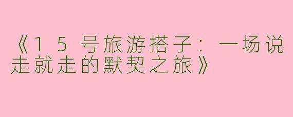 《15号旅游搭子：一场说走就走的默契之旅》