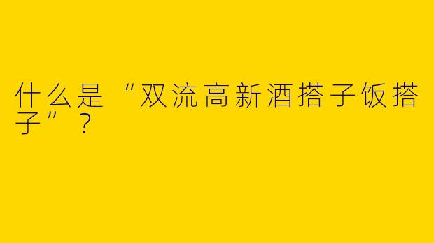 什么是“双流高新酒搭子饭搭子”？