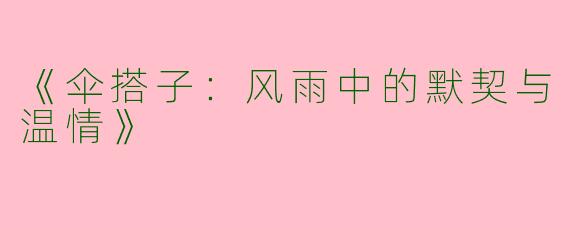 《伞搭子：风雨中的默契与温情》