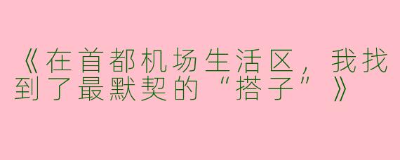 《在首都机场生活区，我找到了最默契的“搭子”》
