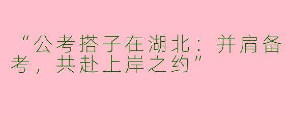 “公考搭子在湖北：并肩备考，共赴上岸之约”