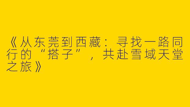 《从东莞到西藏：寻找一路同行的“搭子”，共赴雪域天堂之旅》
