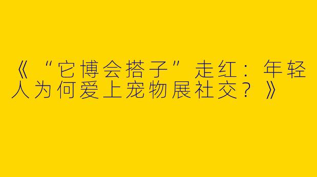 《“它博会搭子”走红：年轻人为何爱上宠物展社交？》