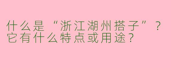 什么是“浙江湖州搭子”？它有什么特点或用途？