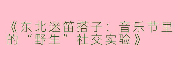 《东北迷笛搭子：音乐节里的“野生”社交实验》