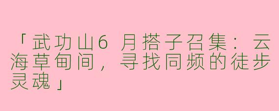 「武功山6月搭子召集：云海草甸间，寻找同频的徒步灵魂」