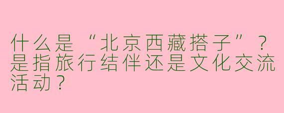 什么是“北京西藏搭子”？是指旅行结伴还是文化交流活动？