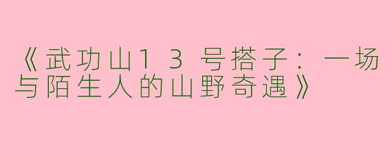《武功山13号搭子：一场与陌生人的山野奇遇》