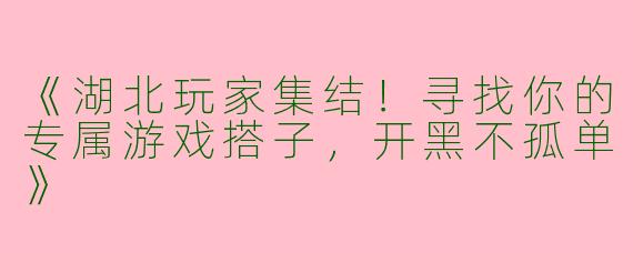 《湖北玩家集结！寻找你的专属游戏搭子，开黑不孤单》