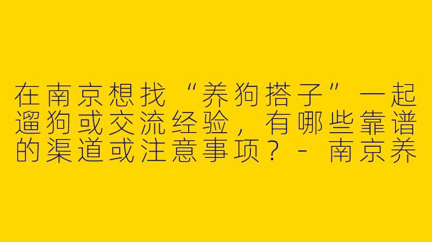 在南京想找“养狗搭子”一起遛狗或交流经验，有哪些靠谱的渠道或注意事项？-南京养狗搭子