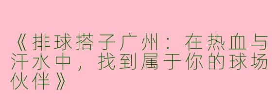 《排球搭子广州：在热血与汗水中，找到属于你的球场伙伴》