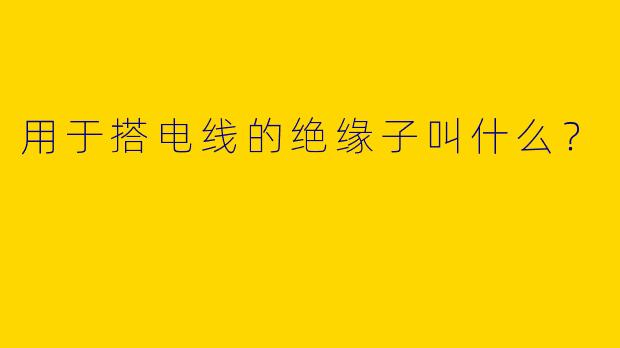 用于搭电线的绝缘子叫什么？