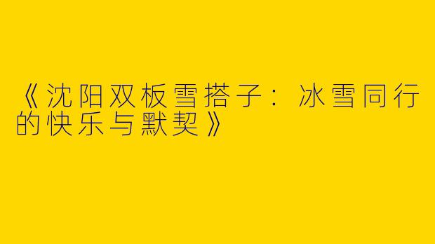 《沈阳双板雪搭子：冰雪同行的快乐与默契》