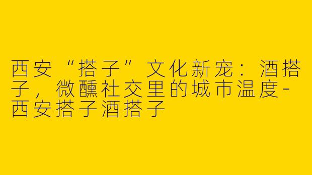 西安“搭子”文化新宠：酒搭子，微醺社交里的城市温度-西安搭子酒搭子