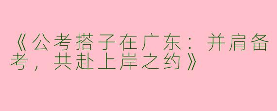 《公考搭子在广东：并肩备考，共赴上岸之约》