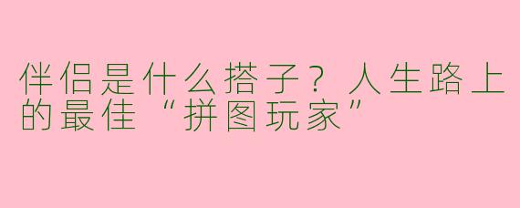 伴侣是什么搭子？人生路上的最佳“拼图玩家”