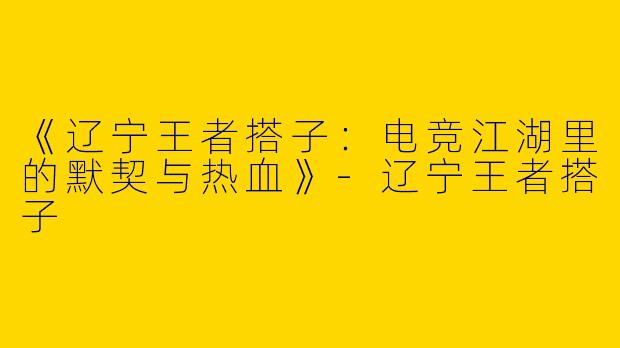 《辽宁王者搭子：电竞江湖里的默契与热血》-辽宁王者搭子
