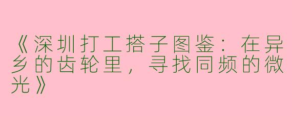 《深圳打工搭子图鉴：在异乡的齿轮里，寻找同频的微光》