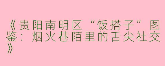 《贵阳南明区“饭搭子”图鉴：烟火巷陌里的舌尖社交》
