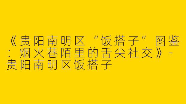 《贵阳南明区“饭搭子”图鉴：烟火巷陌里的舌尖社交》-贵阳南明区饭搭子