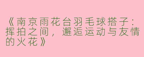《南京雨花台羽毛球搭子：挥拍之间，邂逅运动与友情的火花》