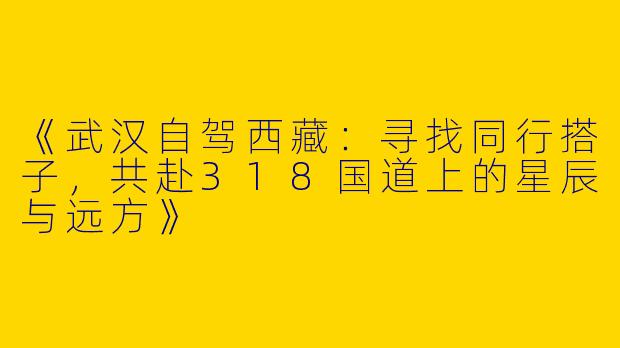 《武汉自驾西藏：寻找同行搭子，共赴318国道上的星辰与远方》