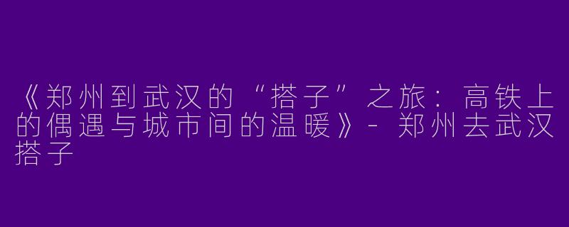 《郑州到武汉的“搭子”之旅：高铁上的偶遇与城市间的温暖》-郑州去武汉搭子