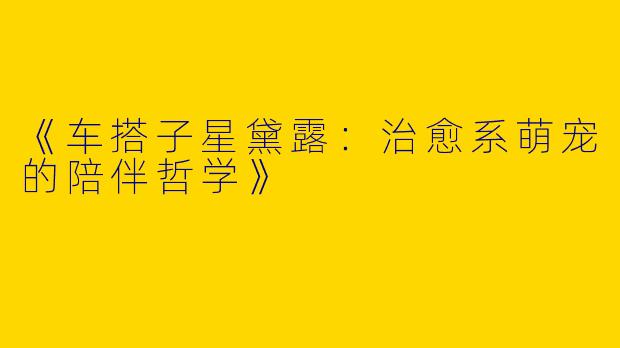 《车搭子星黛露：治愈系萌宠的陪伴哲学》