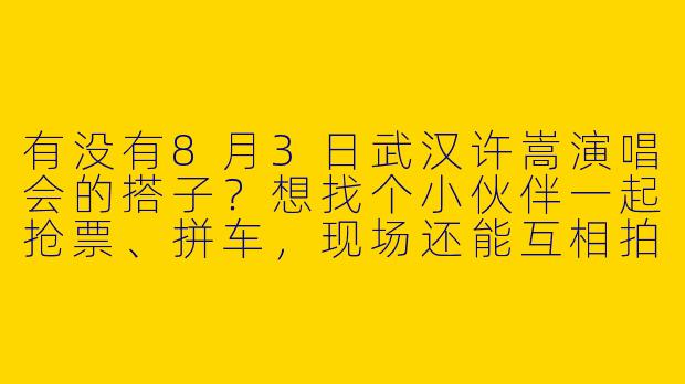 有没有8月3日武汉许嵩演唱会的搭子？想找个小伙伴一起抢票、拼车，现场还能互相拍照，散场后安全结伴回！