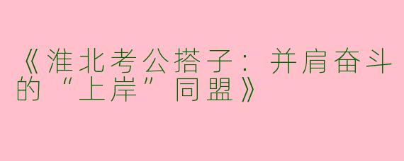 《淮北考公搭子：并肩奋斗的“上岸”同盟》
