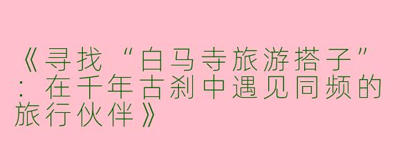 《寻找“白马寺旅游搭子”：在千年古刹中遇见同频的旅行伙伴》
