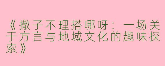 《撒子不理搭哪呀：一场关于方言与地域文化的趣味探索》