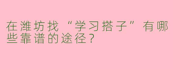 在潍坊找“学习搭子”有哪些靠谱的途径？