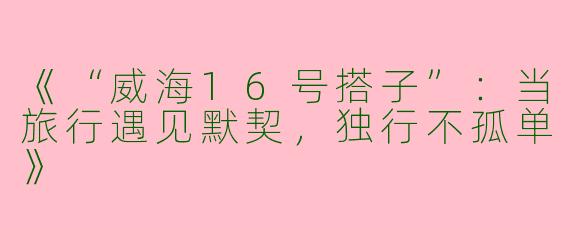 《“威海16号搭子”：当旅行遇见默契，独行不孤单》